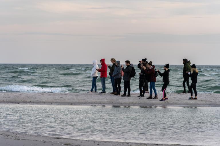 A harbor seal colony resting on a sandbank near the ocean Picture from Falsterbo in Scania Sweden 1290308048 2125x1416