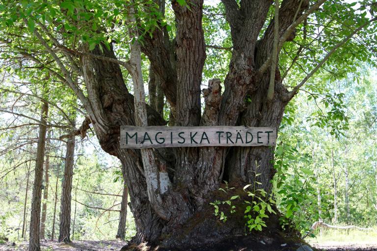 magiskatradet.jpg